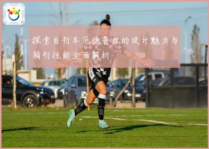探索自行车范德普尔的设计魅力与骑行性能全面解析