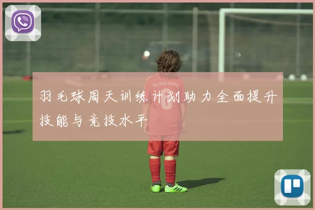 羽毛球周天训练计划助力全面提升技能与竞技水平