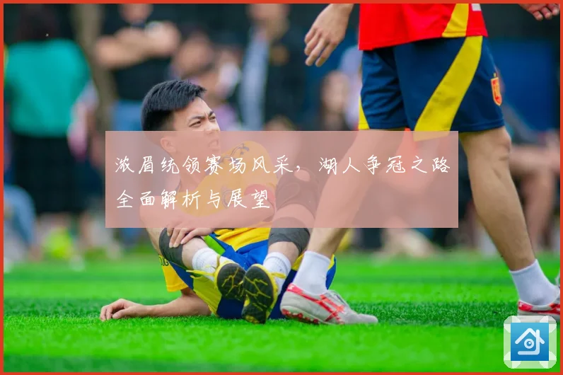 浓眉统领赛场风采，湖人争冠之路全面解析与展望